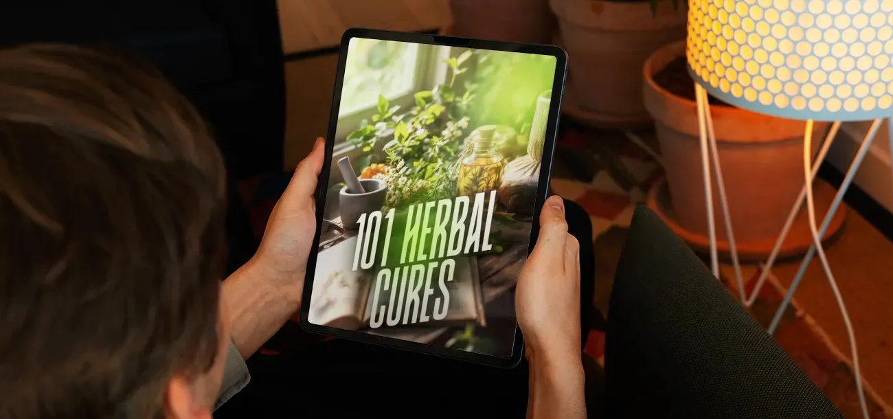 Memocept Bonus Peak Focus Playbook