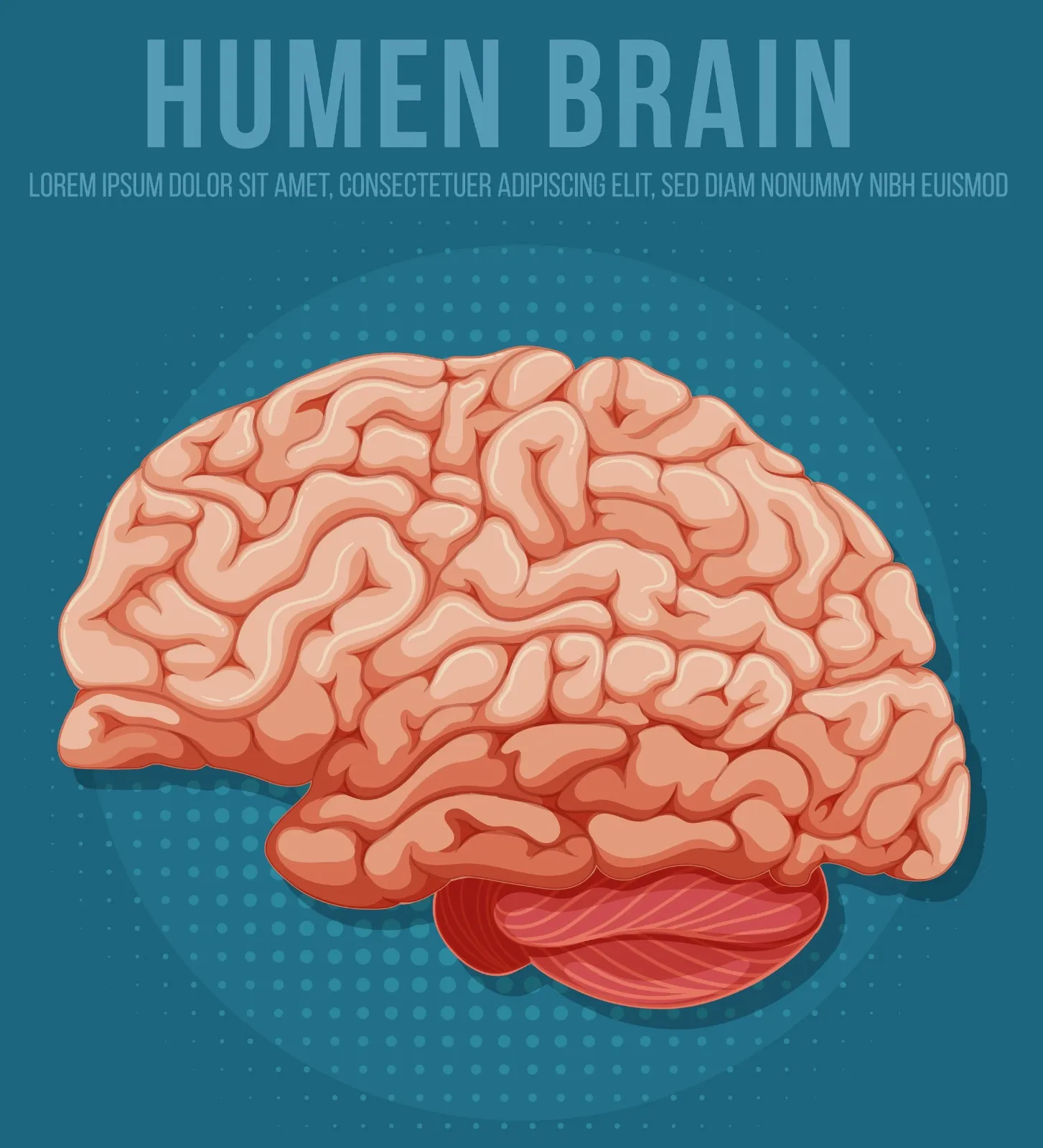 Memocept™ Memory, Focus & Brain Health Support